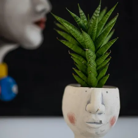 Carlotta Con Piscina Privata