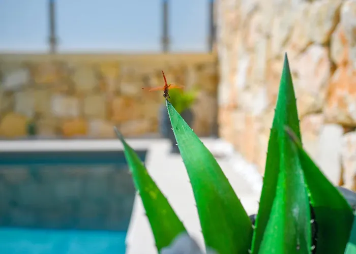 Carlotta Con Piscina Villa Lido di Noto